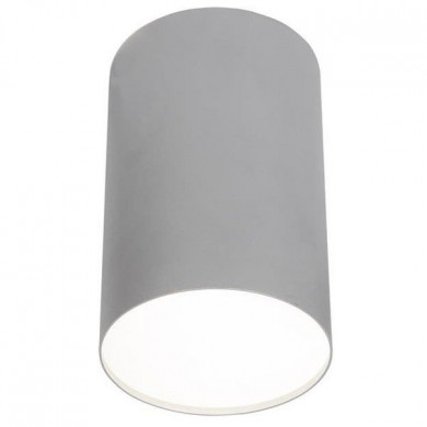 Lampa sufitowa/spot POINT PLEXI SILVER L śr.13cm 6531