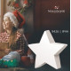 Lampa ogrodowa świąteczna STAR gwiazda IP44 | biały 9426
