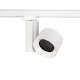 Reflektor do szyny CTLS NEA LED 40W 4000K | biały 8747