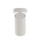 Lampa natynkowa sufitowa MONO I WHITE 10W GU10 | biały 7807