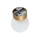 Lampa sufitowa KIER S GOLD śr. 12cm G9 | złoty 10623