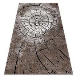 Dywan nowoczesny COZY 8875 Wood, brązowy, strukturalny z dwoma poziomami runa