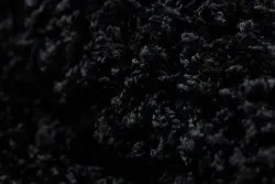 Dywan SOFFI 5cm czarny, elegancki wybór do ogrodu zimowego lub na taras