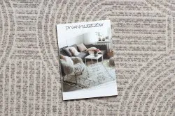 Stylowy dywan w kolorze beżowym i szarym, idealny do nowoczesnych wnętrz