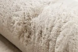 Dywan do salonu TEDDY NEW sand 52, idealny do przytulnych wnętrz